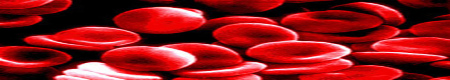 Magnesium and Blood Research